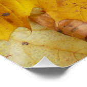 Poster Feuilles de Érable Tombées Jaune Automne Nature (Coin)