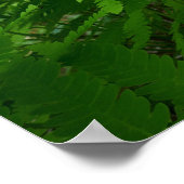 Poster Feuilles de fougère IV Vert Botanique de la nature (Coin)
