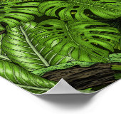 Poster Feuilles de la jungle (Coin)