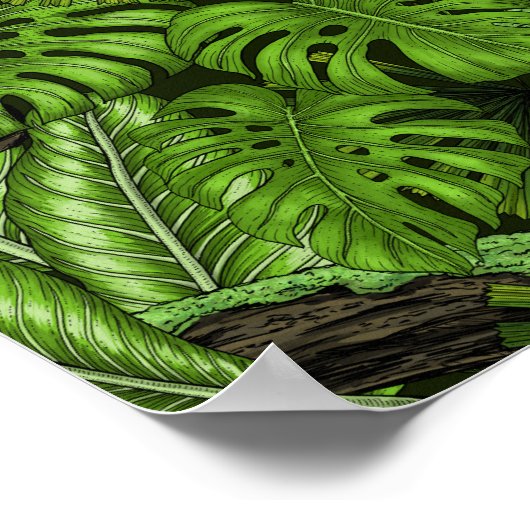 Poster Feuilles de la jungle (Coin)