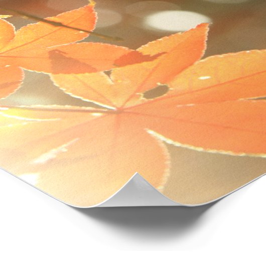 Poster Feuilles de l'érable rouge (Coin)