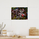 Poster Feuilles de Liquidambar en Automne (Cuisine)