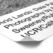 Poster Feuilles de palmiers près du désert de Palm par An (Coin)