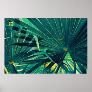 Poster Feuilles de palmiers tropicaux