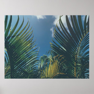 POSTER FEUILLES DE PALMIERS TROPICAUX