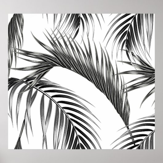 Poster Feuilles de palmiers tropicaux, jungle sans soudur (Devant)