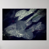 Poster Feuilles de pluie vert foncé (Devant)