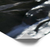 Poster Feuilles de printemps à la rivière Little Pigeon (Coin)