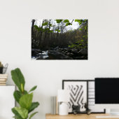 Poster Feuilles de printemps à la rivière Little Pigeon (Bureau à domicile)