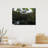 Poster Feuilles de printemps à la rivière Little Pigeon (Cuisine)