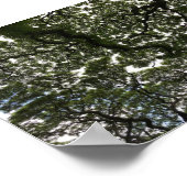 Poster Feuilles de saumons rouges (Coin)