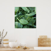 Poster Feuilles d'épinards (Cuisine)