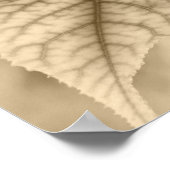 Poster Feuilles d'érable (Coin)