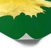 Poster Feuilles d'érable (Coin)