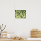Poster Feuilles d'érable (Cuisine)