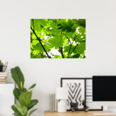 Poster Feuilles d'érable avec Raindrops (Bureau à domicile)