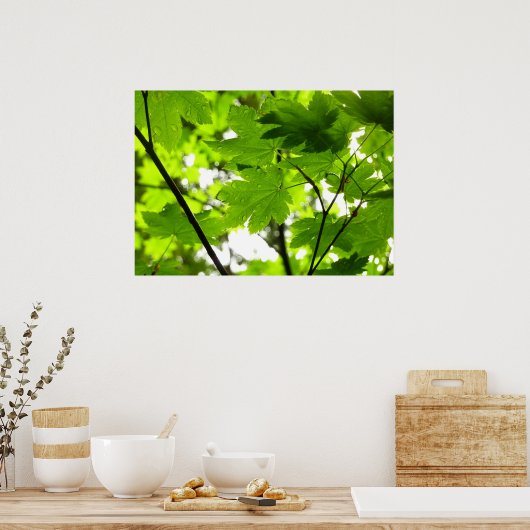 Poster Feuilles d'érable avec Raindrops (Cuisine)