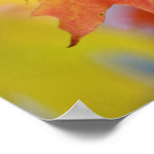 Poster Feuilles d'érable rouges et jaunes, dans le sud (Coin)