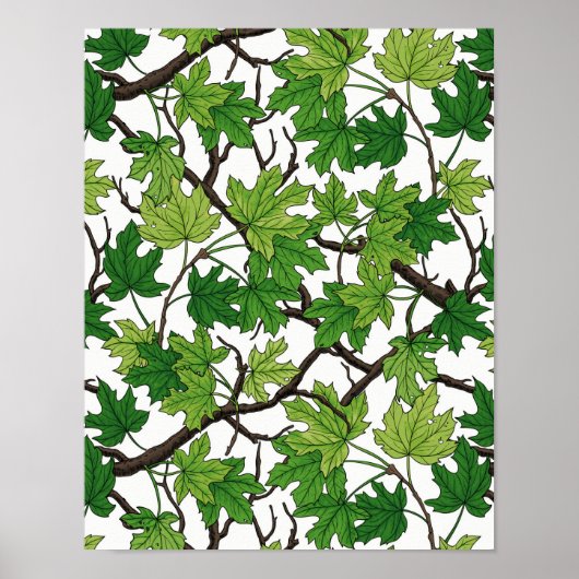 Poster Feuilles d'érable sur fond blanc (Devant)