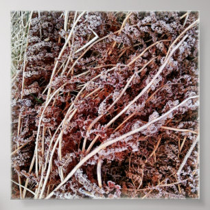 Poster Feuilles d'hiver secs et morts