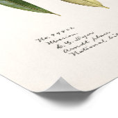 Poster Feuilles d'olive (Olea Europaea) (Coin)