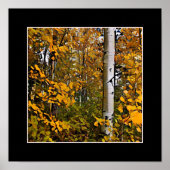 Poster Feuilles d'or (Devant)