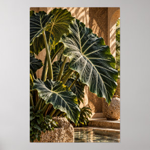 Poster Feuilles d'oreille d'éléphant tropicales dans la c