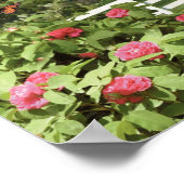 Poster "Feuilles du vert" Alan Giana (Coin)