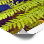 Poster Feuilles d'une foune par Rowan Blair Colver (Coin)