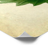 Poster Feuilles en chêne no.8 Cadeau de chauffage ménager (Coin)