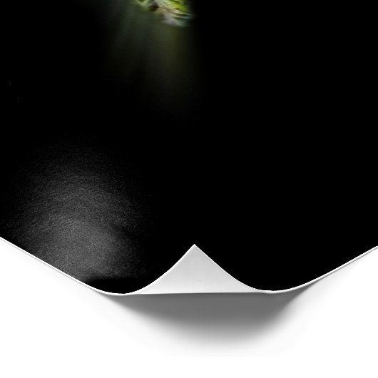 Poster Feuilles en forme de libellule (Coin)