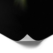 Poster Feuilles en forme de libellule (Coin)