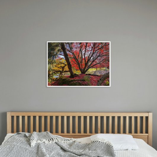 Poster Feuilles et arbres d'automne colorés Paysage