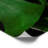 Poster Feuilles et feuilles de palmiers verts (Coin)