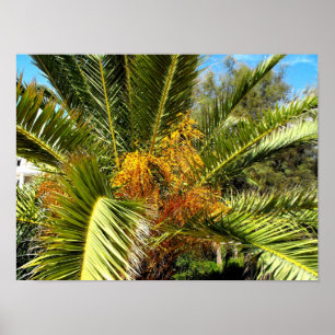 Poster Feuilles et fleurs de palmier