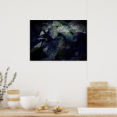 Poster Feuilles et Raindrops de Dark Green (Cuisine)