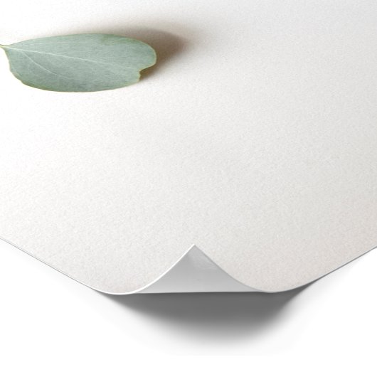 Poster Feuilles eucalyptus avec espace texte (Coin)