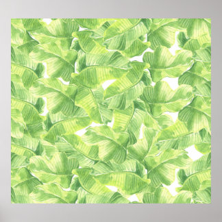Poster Feuilles exotiques : Aquarelle transparente