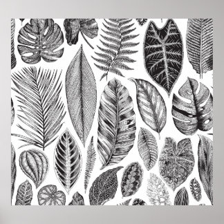 Poster Feuilles exotiques, vintage floral noir et blanc.