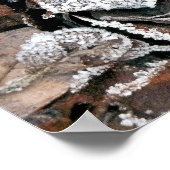 POSTER FEUILLES HIVER (Coin)