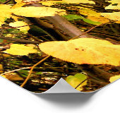 POSTER FEUILLES JAUNES D'AUTOMNE (Coin)