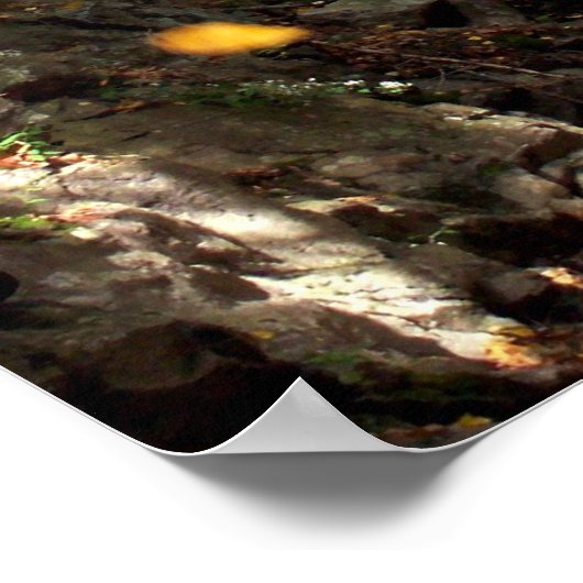 Poster Feuilles maladroits (Coin)