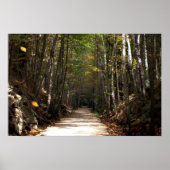 Poster Feuilles maladroits (Devant)