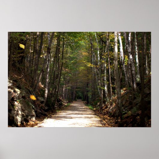 Poster Feuilles maladroits (Devant)