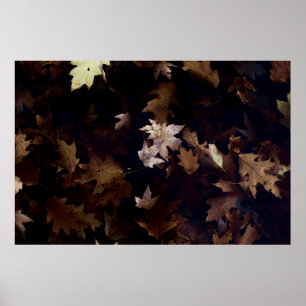 POSTER FEUILLES MAPLE BROWN