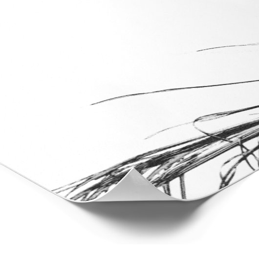 Poster Feuilles Monochrome Noir Blanc Palm Tree (Coin)