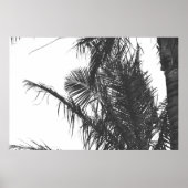 Poster Feuilles Monochrome Noir Blanc Palm Tree (Devant)