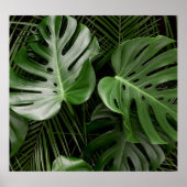 Poster Feuilles Monstera, aménagement tropical de luxe. (Devant)