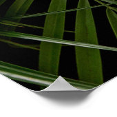 Poster Feuilles Monstera, aménagement tropical de luxe. (Coin)