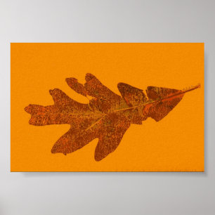 Poster Feuilles Nature Imprimer Mini-Poster